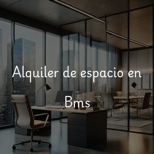 Alquiler de espacio en Bms