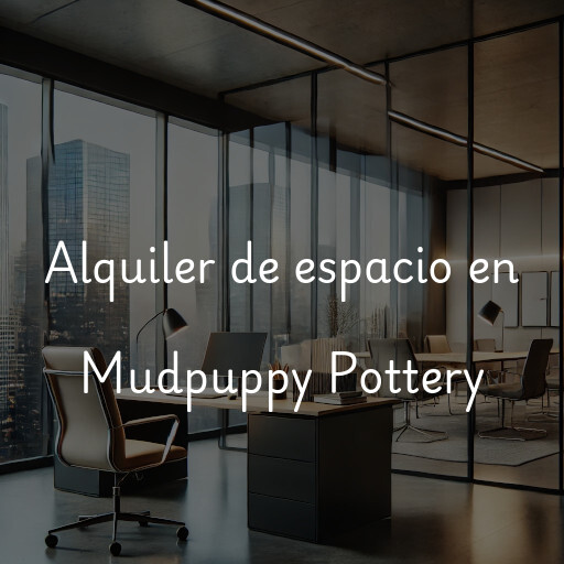 Alquiler de espacio en Mudpuppy Pottery